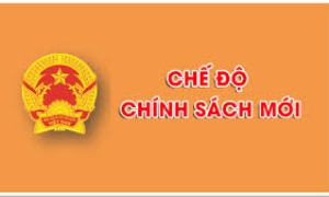 Chế độ, chính sách đối với cán bộ không đủ điều kiện tuổi tái cử, tái bổ nhiệm